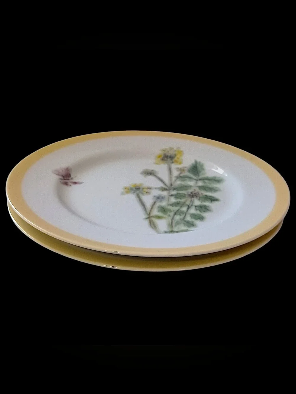 2 Williams Sonoma Flowering Herbs Salad Plates Yellow Burnet Purple Butterfly